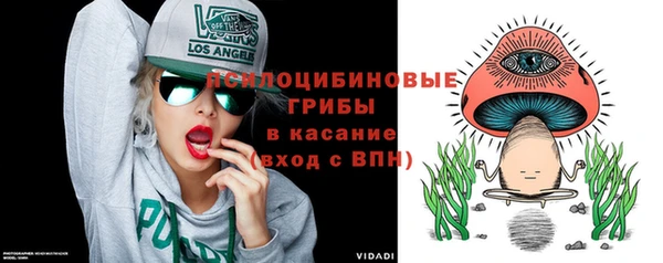 mdma Новодвинск