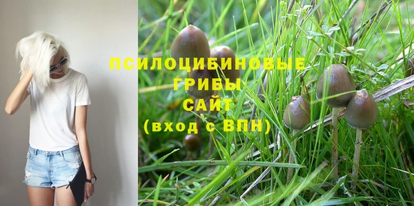 ECSTASY Новозыбков