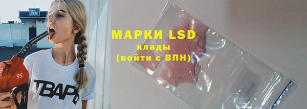 ECSTASY Новозыбков