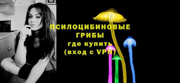 ECSTASY Новозыбков