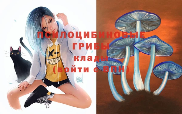mdma Новодвинск