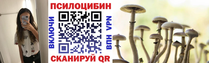 Купить где Чулым Псилоцибиновые грибы GOLDEN TEACHER